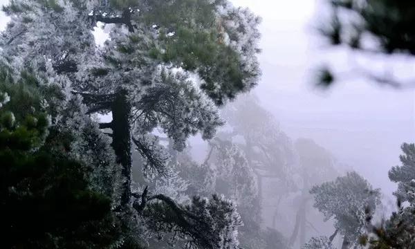 人社业务“就近办” “沉”到基层暖民心