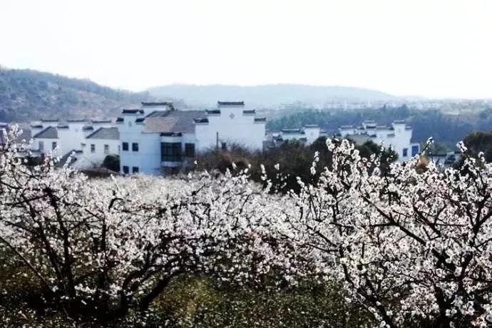 春雨直播app