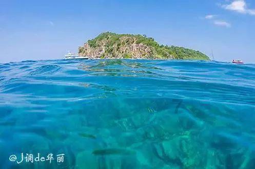 大侠们帮我取一个好听的网名游戏画面
